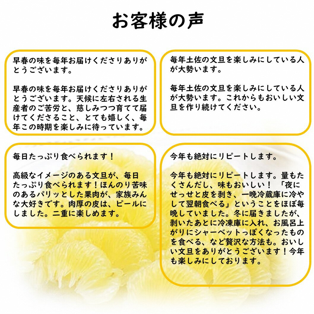 【ふるさと納税】【先行予約】【2026年1月下旬より発送】 土佐文旦 7000円 9000円 16000円【サイズ混合2L～4L】選べる 3.0kg/4.5kg/9.5kg 生産者直送 家庭用 文旦 常温 柑橘 みかん フルーツ 果物 産地直送 お取り寄せ 人気 美味しい ふるさと納税 送料無料 t土佐市 返礼品 サムネイル3