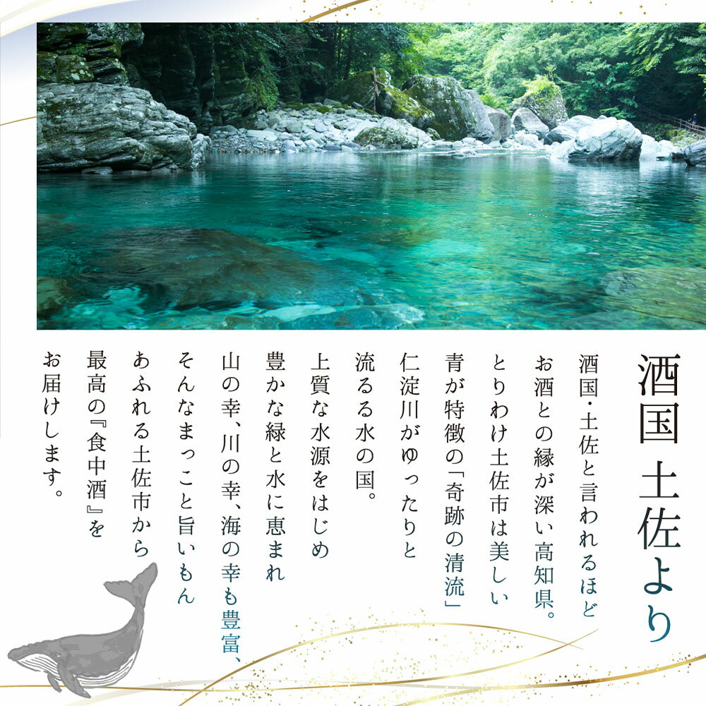 【ふるさと納税】酔鯨 純米吟醸 高育54号 720ml 1800ml 1本 酔鯨 純米吟醸 お酒 酒 日本酒 おさけ 一升 一升瓶 晩酌 家飲み 辛口 ご当地 お取り寄せ 美味しい おいしい プレゼント ギフト 贈り物 ふるさとのうぜい 故郷納税 8000円から 返礼品 高知 高知県 土佐市 サムネイル3