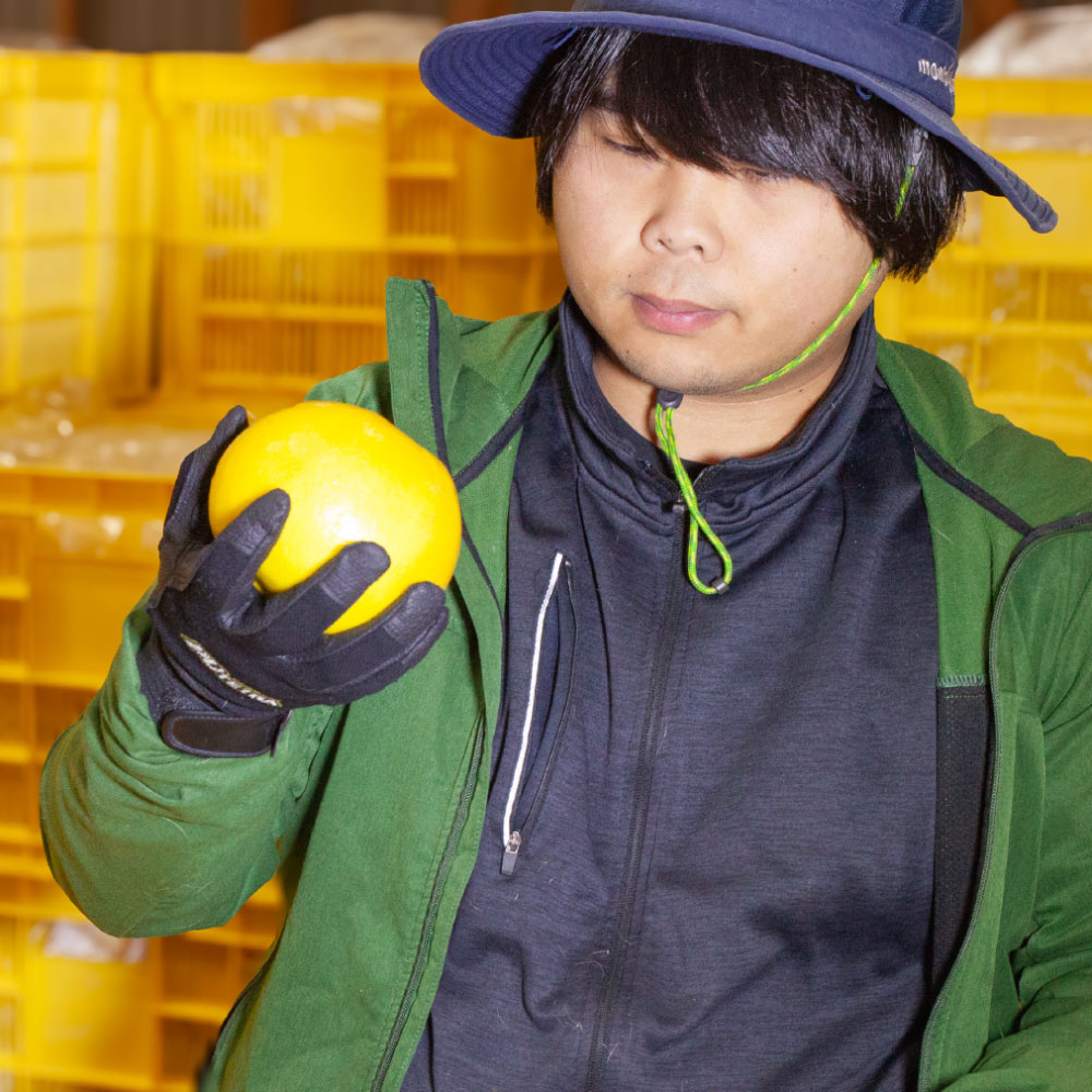 【ふるさと納税】【先行予約】三宮果樹園の土佐文旦 訳あり 10kg ぶんたん ブンタン 10キロ 20玉前後 フルーツ 柑橘 みかん 果物 くだもの 柑橘類 デザート ご自宅用 ご家庭用 自分用 お取り寄せ わけあり 国産 常温 配送 故郷納税 ふるさとのうぜい 返礼品 高知県 土佐市 サムネイル2