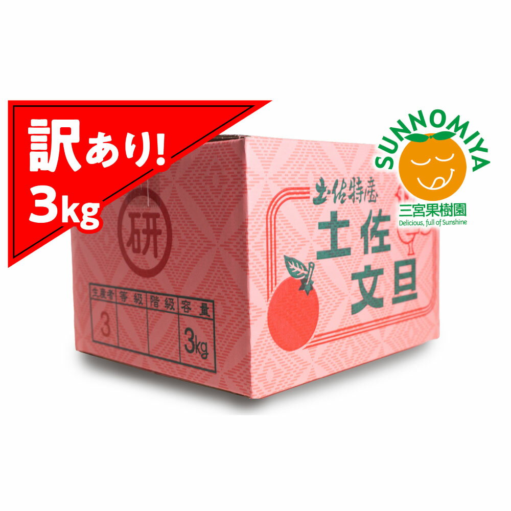【先行予約】三宮果樹園の土佐文旦 訳あり 3kg ぶんたん ブンタン 3キロ 6玉前後 フルーツ 柑橘 みかん 果物 くだもの 柑橘類 デザート ご自宅用 ご家庭用 自分用 お取り寄せ わけあり 国産 常温 配送 故郷納税 ふるさとのうぜい 返礼品 高知県 土佐市