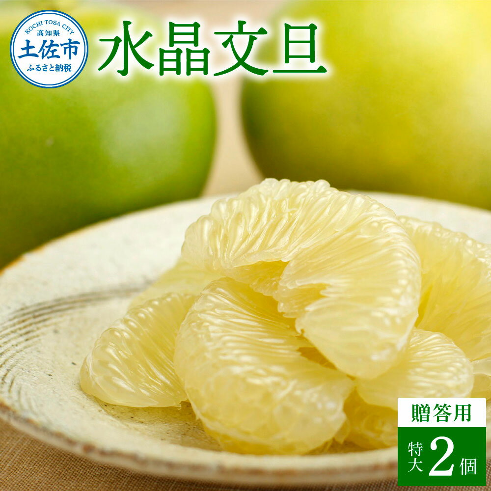＜白木果樹園＞先行予約　文旦 贈答用 特大 約1.5kg(2個入) ぶんたん ブンタン 水晶文旦 特選 果物 柑橘 フルーツ 特大サイズ お取り寄せ 特産品 美味しい 高知県産 美味しい ギフト 贈答品 贈り物 秋 旬 故郷納税 ふるさとのうぜい 返礼品 高知県 16500円