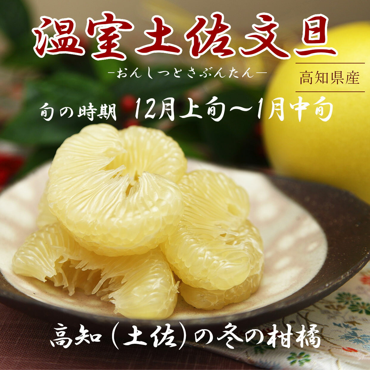 【ふるさと納税】＜白木果樹園＞先行予約 文旦 訳あり 2~4L 約10kg 約10キロ(16~20個入り) 温室土佐文旦 お得箱 ブンタン ぶんたん 土佐文旦 ハウス文旦 フルーツ 果物 くだもの 柑橘 旬 お取り寄せ 常温 配送 高知県土佐市産 高知県 土佐市 ふるさとのうぜい 故郷納税 サムネイル2