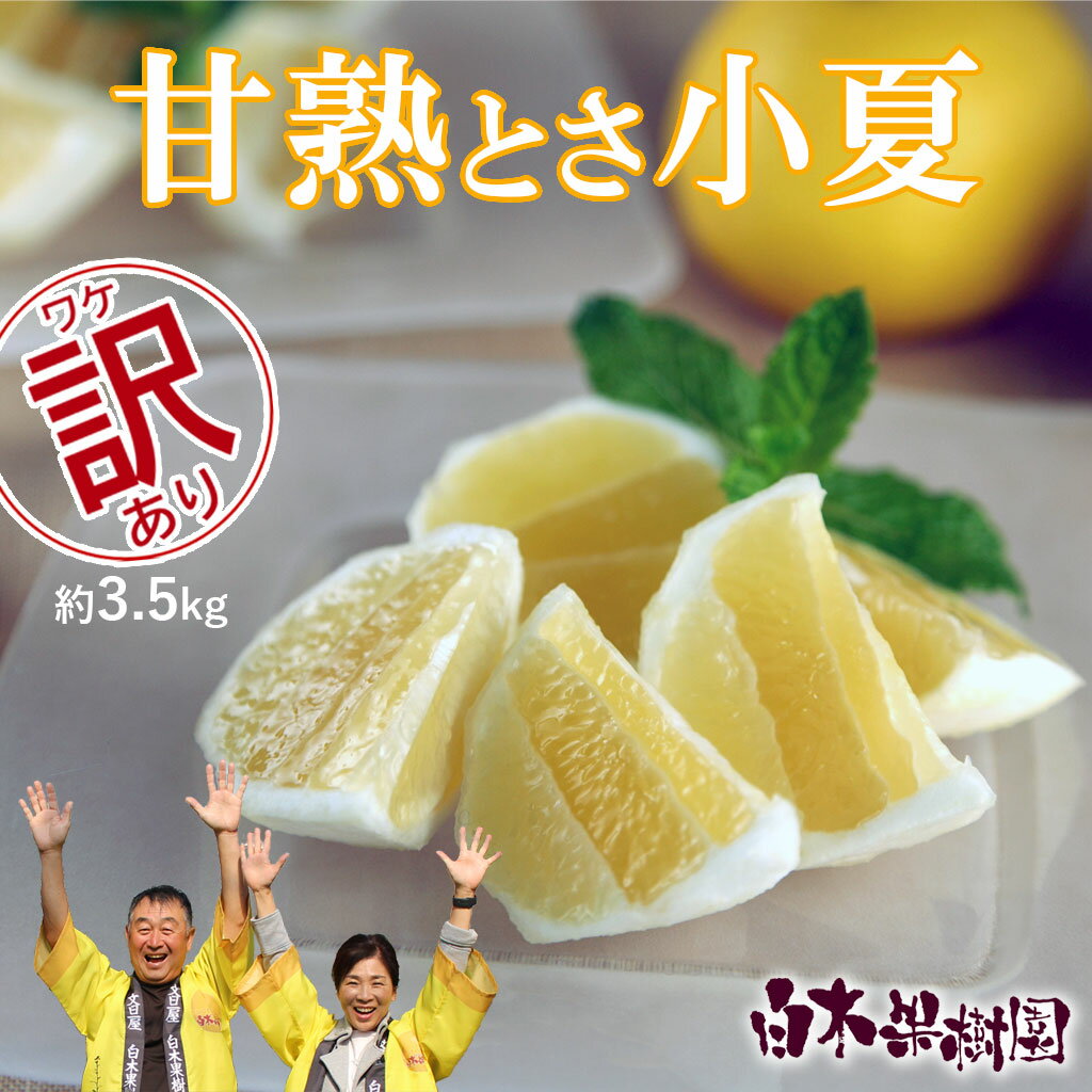 ＜白木果樹園＞先行予約 甘熟とさ小夏 約3.5kg 2S~2L こなつ コナツ 果物 フルーツ 柑橘 かんきつ 宿毛小夏 すくも小夏 日向夏 ニューサマーオレンジ 爽やか 甘酸っぱい 果汁 訳あり ご家庭用 お取り寄せ 常温 配送 高知県 土佐市 ふるさとのうぜい 故郷納税
