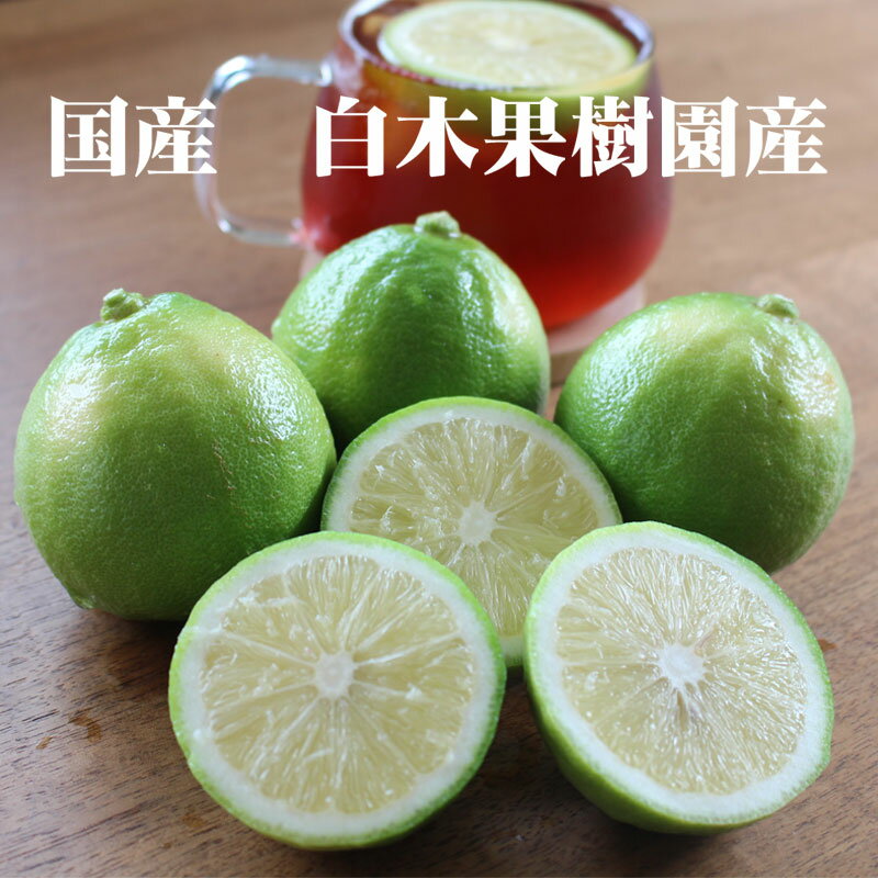 【ふるさと納税】＜白木果樹園産＞ 先行予約　ベルガモット 約1kg 1キロ 5~8個入り 果物 くだもの 果実 柑橘類 柑橘 爽やか フレッシュ 新鮮 デトックスウォーター 紅茶 料理 お取り寄せ 国産 常温 配送 故郷納税 ふるさとのうぜい 返礼品 高知県 土佐市 サムネイル2