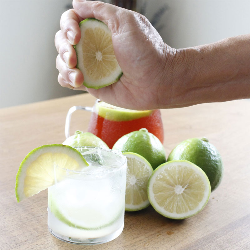 【ふるさと納税】＜白木果樹園産＞ 先行予約　ベルガモット 約1kg 1キロ 5~8個入り 果物 くだもの 果実 柑橘類 柑橘 爽やか フレッシュ 新鮮 デトックスウォーター 紅茶 料理 お取り寄せ 国産 常温 配送 故郷納税 ふるさとのうぜい 返礼品 高知県 土佐市 サムネイル3