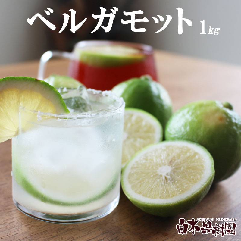 ＜白木果樹園産＞ 先行予約　ベルガモット 約1kg 1キロ 5~8個入り 果物 くだもの 果実 柑橘類 柑橘 爽やか フレッシュ 新鮮 デトックスウォーター 紅茶 料理 お取り寄せ 国産 常温 配送 故郷納税 ふるさとのうぜい 返礼品 高知県 土佐市