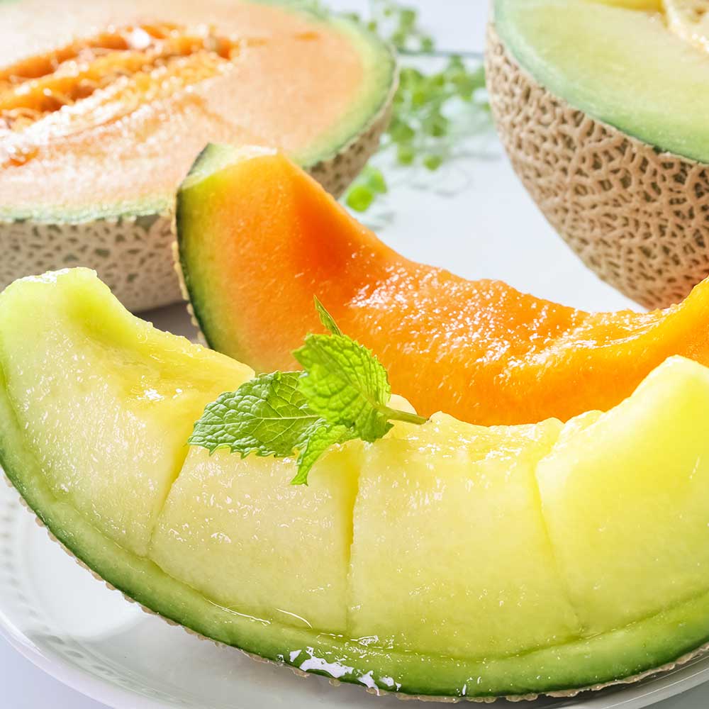 【ふるさと納税】最高級土佐アールスメロン2玉入り メロン めろん 3kg以上 白玉 赤玉 舐瓜 果物 くだもの フルーツ デザート スイーツ おやつ 高級 常温 配送 故郷納税 ふるさとのうぜい 高知県産 国産 土佐市 返礼品 サムネイル2