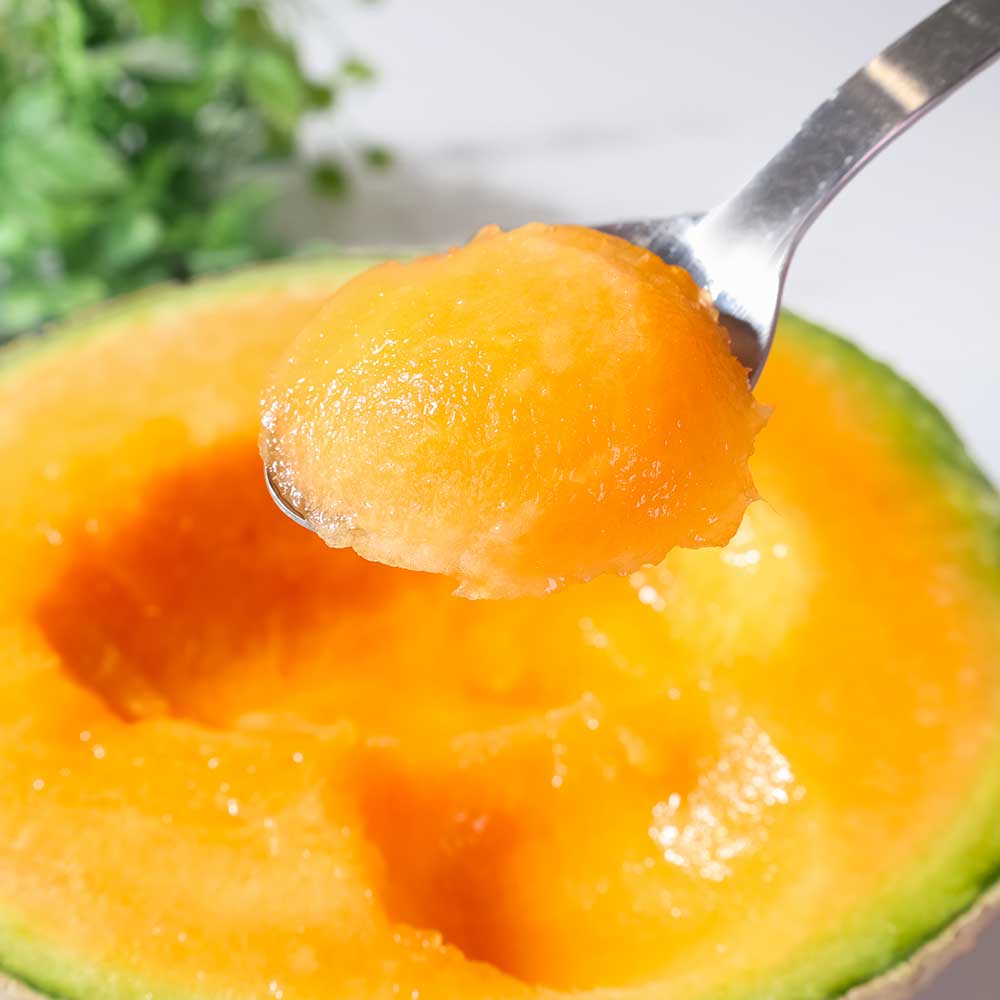 【ふるさと納税】最高級土佐アールスメロン2玉入り メロン めろん 3kg以上 白玉 赤玉 舐瓜 果物 くだもの フルーツ デザート スイーツ おやつ 高級 常温 配送 故郷納税 ふるさとのうぜい 高知県産 国産 土佐市 返礼品 サムネイル3