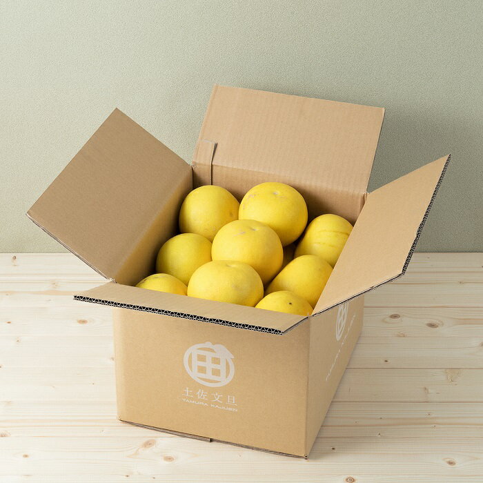 【ふるさと納税】【予約受付】文旦 ☆至高の柑橘 高知産 土佐文旦☆ 3L 17玉入【家庭用】 みかん 柑橘 フルーツ 先行予約 2月～3月発送 ぶんたん ブンタン 果物 お取り寄せ おいしい 美味しい 故郷納税 ふるさとのうぜい 返礼品 高知 21000円 サムネイル3