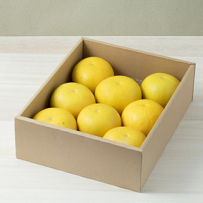 【ふるさと納税】【予約受付】文旦 ☆至高の柑橘　高知産 土佐文旦☆ 2L 8玉入【家庭用】 みかん 柑橘 フルーツ　2月〜3月発送 ぶんたん ブンタン 果物 お取り寄せ おいしい 美味しい ご自宅用 故郷納税 ふるさとのうぜい 返礼品 高知県 高知 10000円 サムネイル3