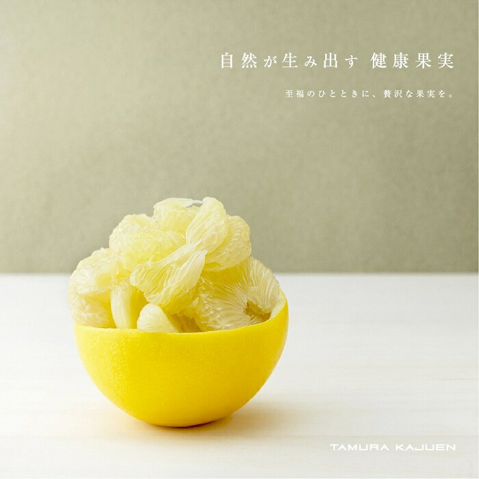 【ふるさと納税】【予約受付】文旦 ☆至高の柑橘 高知産 土佐文旦☆ M 12玉入【家庭用】 ぶんたん ブンタン 果物 柑橘 フルーツ お取り寄せ おいしい 美味しい 故郷納税 ふるさとのうぜい 返礼品 高知県 高知 7000円 サムネイル2