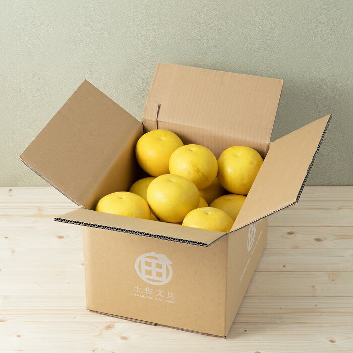 【ふるさと納税】【予約受付】 文旦 ☆至高の柑橘 高知産 土佐文旦☆ 2L 21玉入【家庭用】みかん 柑橘 フルーツ 2月〜3月発送 ぶんたん ブンタン 果物 柑橘 フルーツ お取り寄せ おいしい 故郷納税 ふるさとのうぜい 返礼品 高知県 高知 16000円 サムネイル3