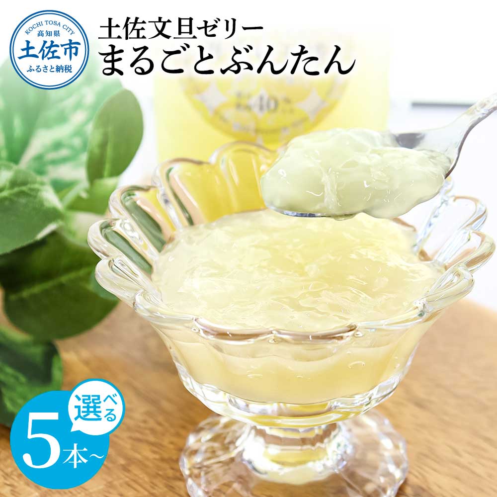 土佐文旦ゼリー まるごとぶんたん 5〜10本セット〈選べる内容量〉 ぜりー ブンタン ぶんたん フルーツ 果物 柑橘 みかん お菓子 おかし おやつ デザート おいしい 爽やか シャーベット お取り寄せ 高知県 土佐市 こうち 返礼品【土佐文旦産直組合】[BQAH003]
