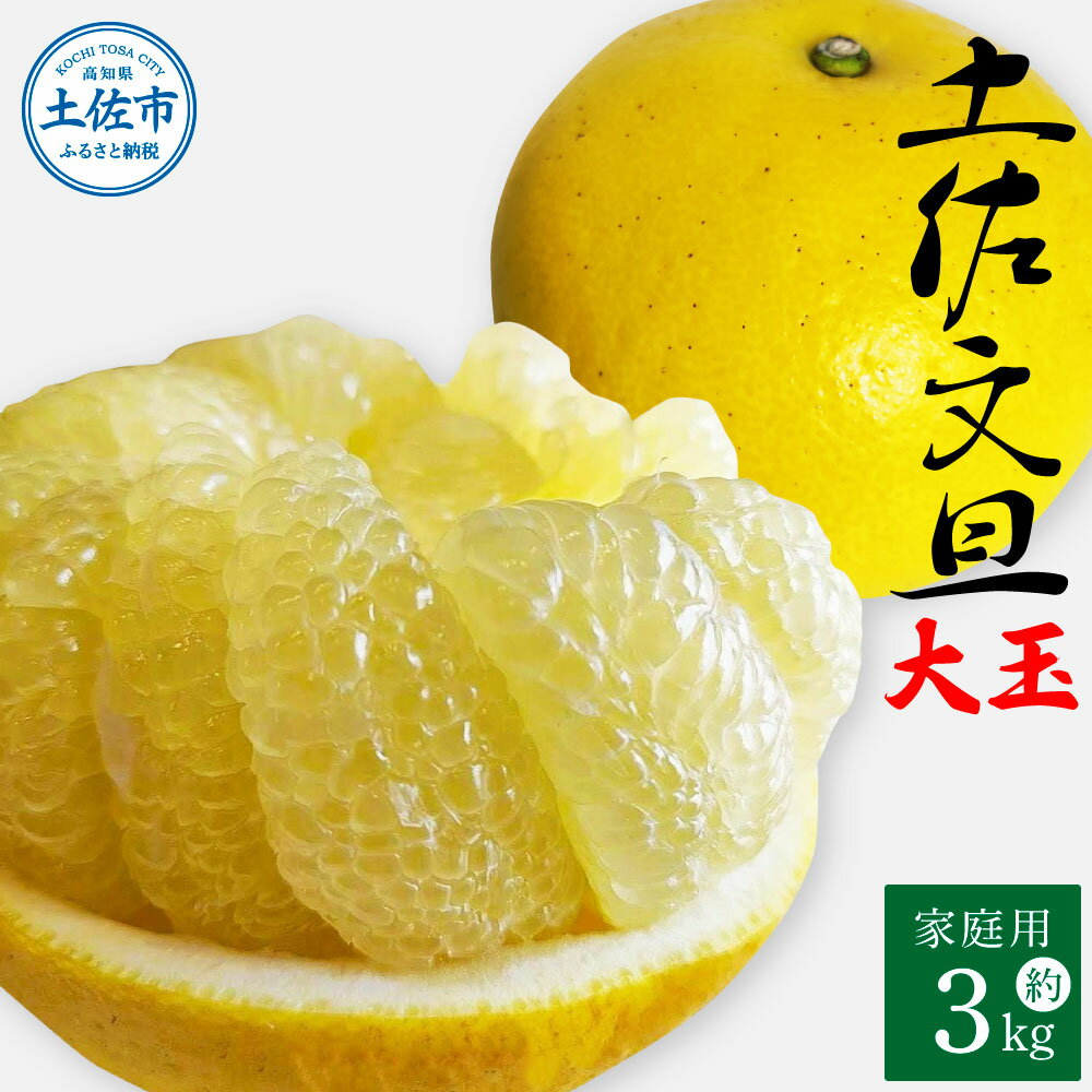 ＜2026年1月下旬より順次発送＞土佐文旦 家庭用 約3キロ(2L～4Lサイズ混合：5玉～9玉) 大玉 先行予約 数量限定 文旦 ぶんたん ブンタン 土佐文旦 柑橘 フルーツ 果物 ご当地 お取り寄せ 土佐 高知 ふるさとのうぜい 故郷納税 高知県 7000円 土佐市