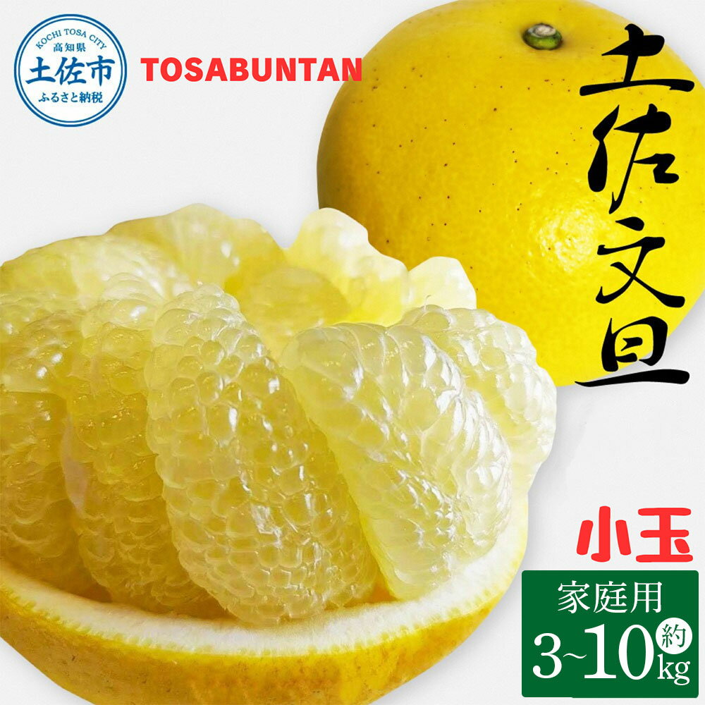 ＜2026年1月下旬より順次発送＞土佐文旦 小玉 家庭用 3~10kg M~Lサイズ 先行予約 文旦 ぶんたん ブンタン 柑橘 フルーツ デザート 果物 ご当地 人気 名産 お取り寄せ 土佐 高知 土佐市 送料無料 ふるさと納税 ふるさとのうぜい 故郷納税 高知県 6500円～