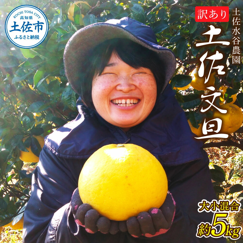 文旦 訳あり 土佐文旦 ブンタン ぶんたん 家庭用 ご自宅用 5キロ 5kg 柑橘 みかん フルーツ 果物 くだもの 果実 ご当地 ワケあり お取り寄せグルメ 美味しい あまい 旬 こだわり ふるさとのうぜい 故郷納税 国産 高知県産 高知県 高知 土佐市 土佐 12000円