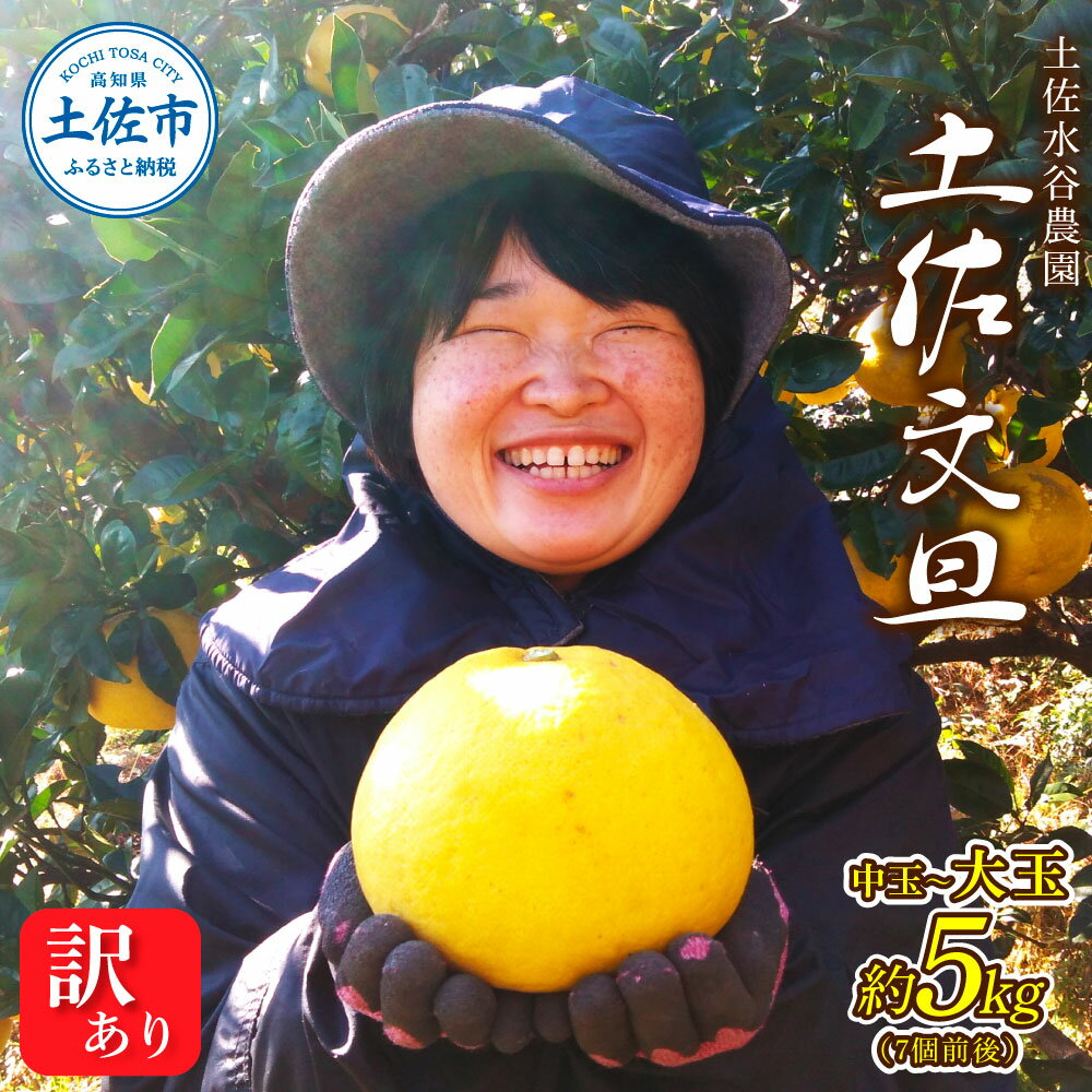 文旦 家庭用5キロ 5kg 中玉~大玉（3L～上限なし：7玉前後）皮むき器付き 訳あり 文旦 ぶんたん ブンタン 土佐文旦 家庭用 ご自宅用 柑橘 フルーツ 果物 高知 ふるさとのうぜい 故郷納税 高知県 16000円 土佐市 本場 土佐水谷農園の露地土佐文旦
