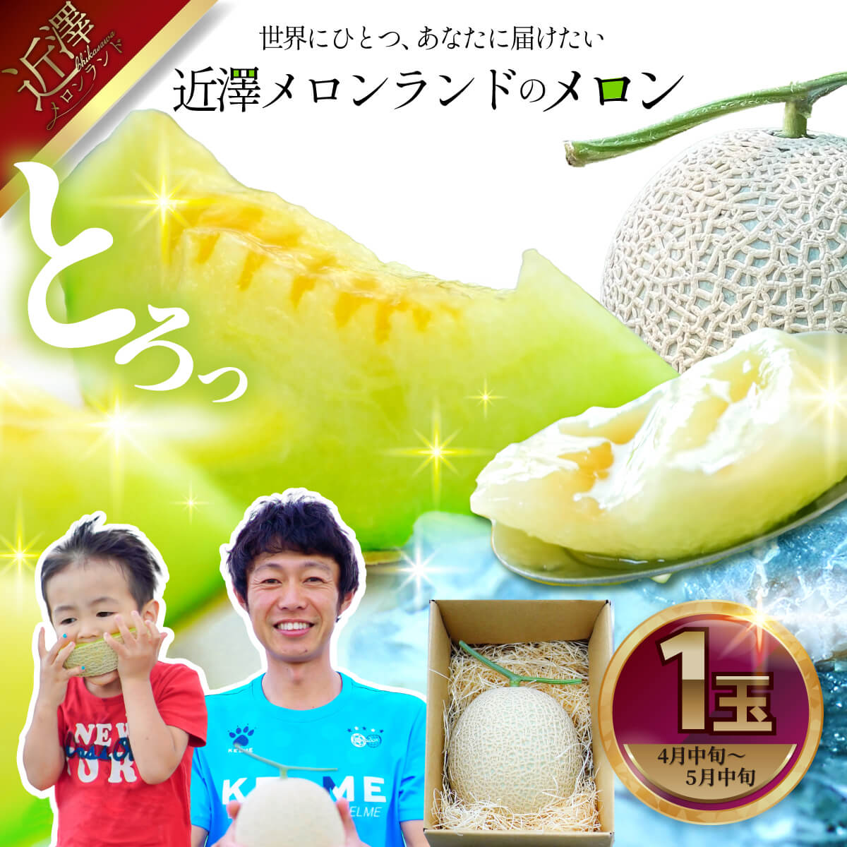 先行予約 メロン 1玉入（約1.4kg～1.8kg）青肉 2026年春発送 期間限定 メロン めろん マスクメロン 舐瓜 果物 くだもの フルーツ デザート 旬 ハウス栽培 常温配送 故郷納税 ふるさとのうぜい 高知県産 国産 土佐市 返礼品