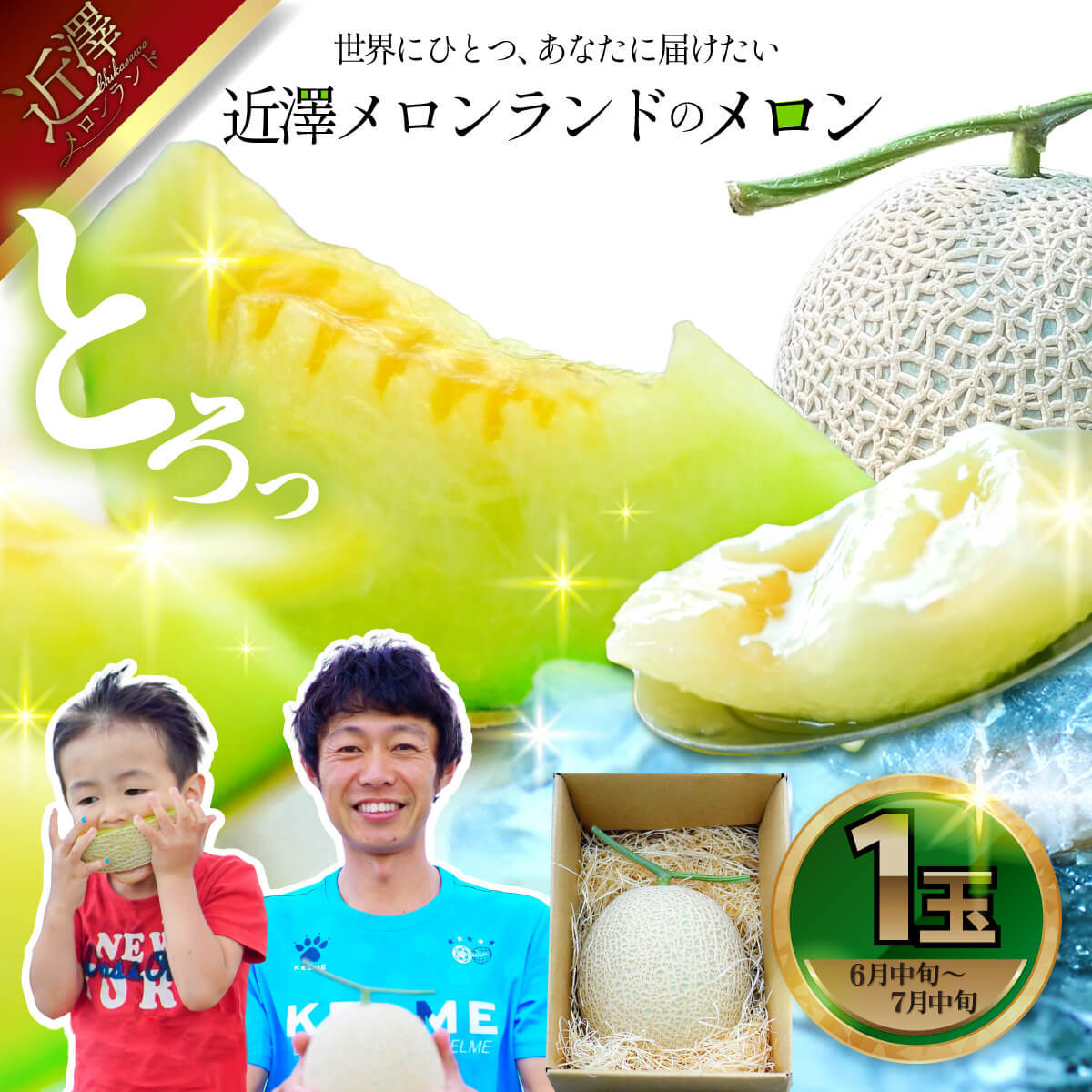 先行予約 メロン 1玉入（約1.4kg～1.8kg）青肉 2026年夏発送 期間限定 メロン めろん マスクメロン 舐瓜 果物 くだもの フルーツ デザート 旬 ハウス栽培 常温配送 故郷納税 ふるさとのうぜい 高知県産 国産 土佐市 返礼品