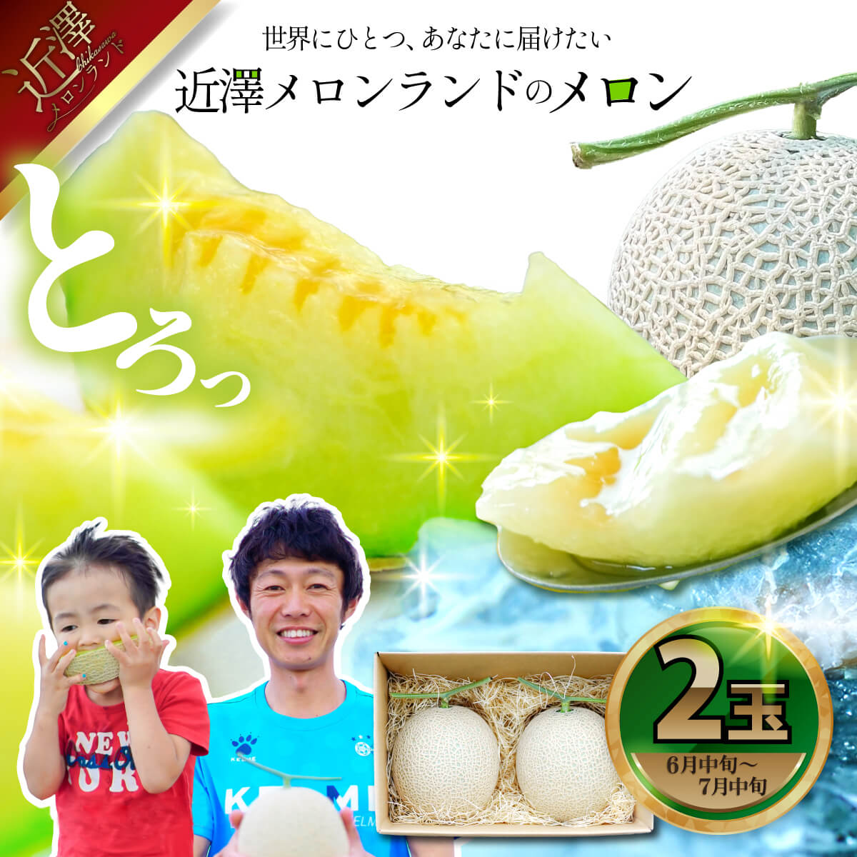 先行予約 メロン 2玉入り（1玉約1.4kg～1.8kg）青肉 2026年夏発送 期間限定 メロン めろん マスクメロン 舐瓜 果物 くだもの フルーツ デザート 旬 ハウス栽培 常温配送 故郷納税 ふるさとのうぜい 高知県産 国産 土佐市 返礼品