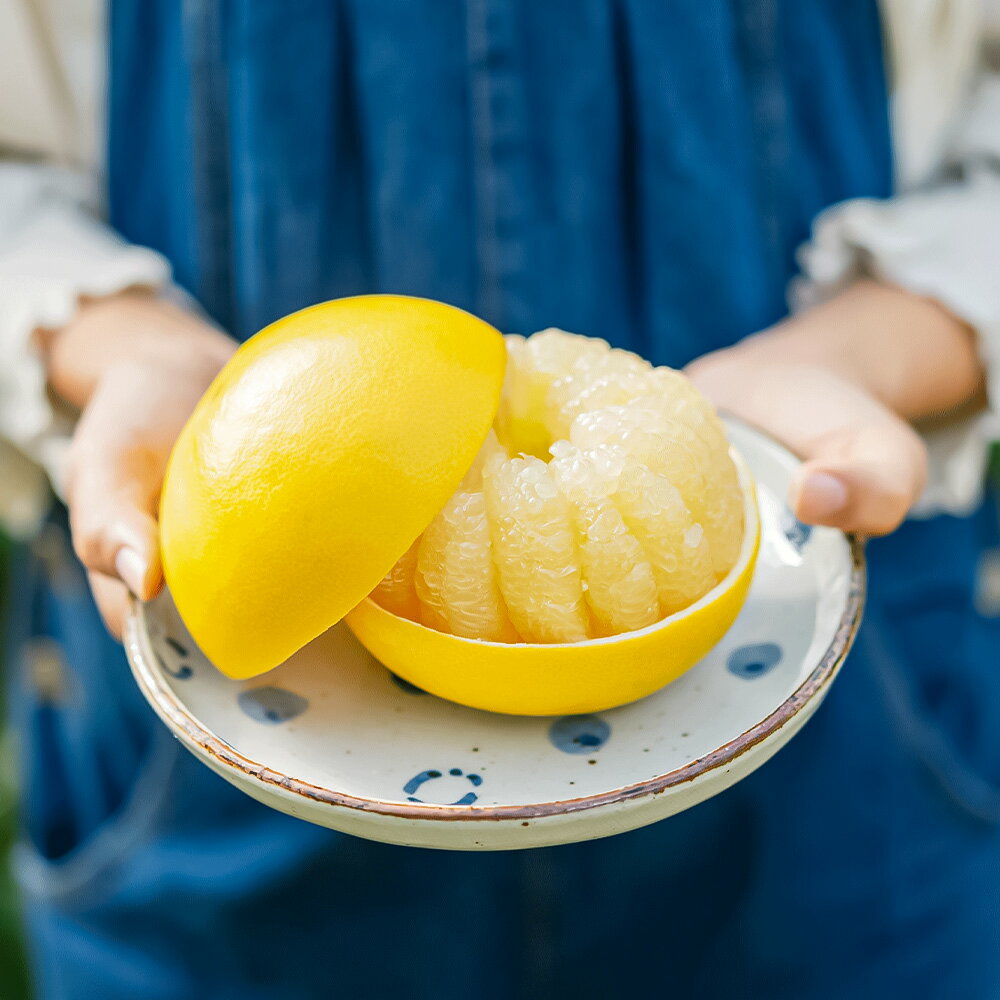 【ふるさと納税】温室土佐文旦 ブンタン ぶんたん 特選 約3kg 約3キロ 5~6個 2L~3Lサイズ 柑橘 かんきつ 柑橘類 フルーツ 果物 くだもの デザート スイーツ おやつ 贈答 プレゼント ギフト 高橋農園直送 常温 配送 高知県 高知 土佐市 ふるさとのうぜい 故郷納税 返礼品 サムネイル2