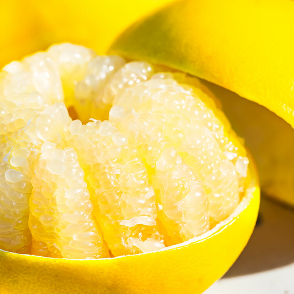 【ふるさと納税】温室土佐文旦 ブンタン ぶんたん 特選 約3kg 約3キロ 5~6個 2L~3Lサイズ 柑橘 かんきつ 柑橘類 フルーツ 果物 くだもの デザート スイーツ おやつ 贈答 プレゼント ギフト 高橋農園直送 常温 配送 高知県 高知 土佐市 ふるさとのうぜい 故郷納税 返礼品 サムネイル3