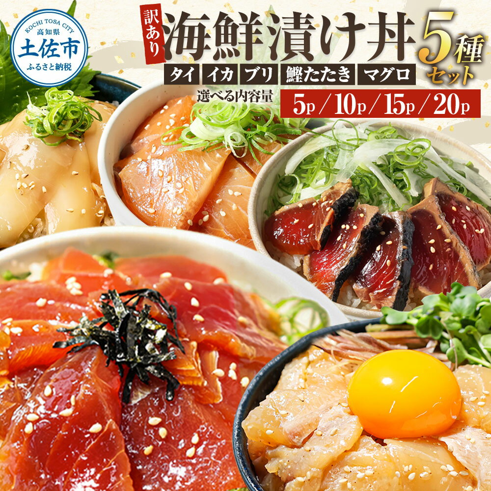 訳あり 海鮮丼セット 漬け丼 5種 5~20P 【選べる発送時期＆内容量】不揃い 規格外 海鮮漬け丼 まぐろ いか ぶり 鯛 かつおのたたき 鰹タタキ 訳アリ わけあり 茶漬け 簡単〜 高知県 土佐市 こうち 返礼品