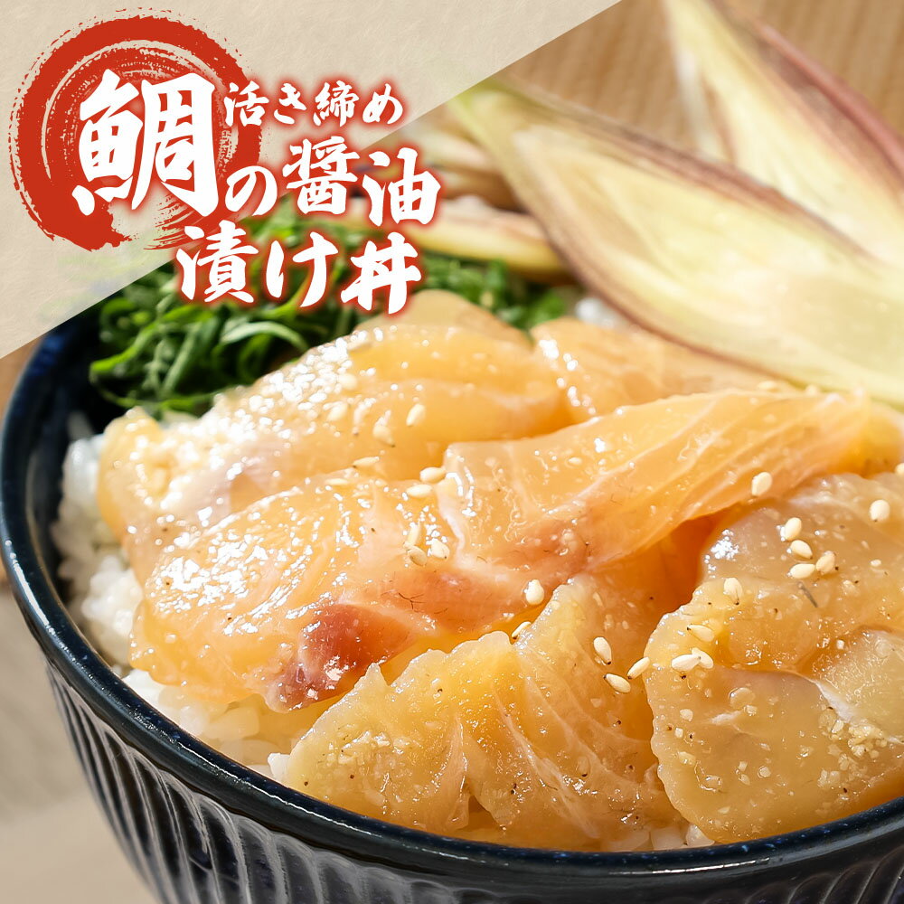 【ふるさと納税】訳あり 漬け丼 セット 鯛 タイ カンパチ マグロ 5P~20P 7000円 20000円以内 海鮮漬け丼 不揃い 規格外 6000円 10000円台 漬け魚 海鮮 海鮮丼 醤油漬け わけあり 人気 白身魚 食べ比べ 時短 個包装 冷凍 食品 保存食 小分け 一人暮らし 簡単 便利 鯛めし 惣菜 サムネイル3