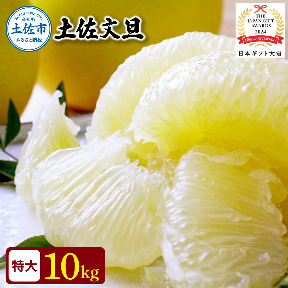 【先行予約】文旦 10kg ぶんたん 特大 10キロ ブンタン 日本ギフト大賞2024受賞 フルーツ 果物 柑橘 みかん 家庭用 美味しい お取り寄せ 大量 土佐 高知 やの一果彩 ふるさとのうぜい ふるさと納税 31000円 土佐市 高知県