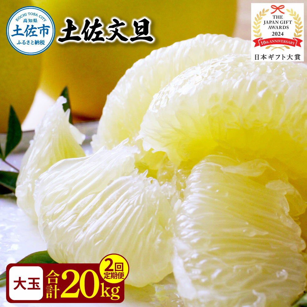 ＜2回定期便＞園主こだわりの土佐文旦　10キロ（18～24玉） 2月・3月にお届け！ 先行予約 定期便 定期コース 2ヶ月 柑橘 みかん フルーツ 果物 家庭用 お取り寄せ 人気 名産 送料無料 家庭用 ギフト用 土佐 高知 ふるさと納税 高知県 46000円 土佐市