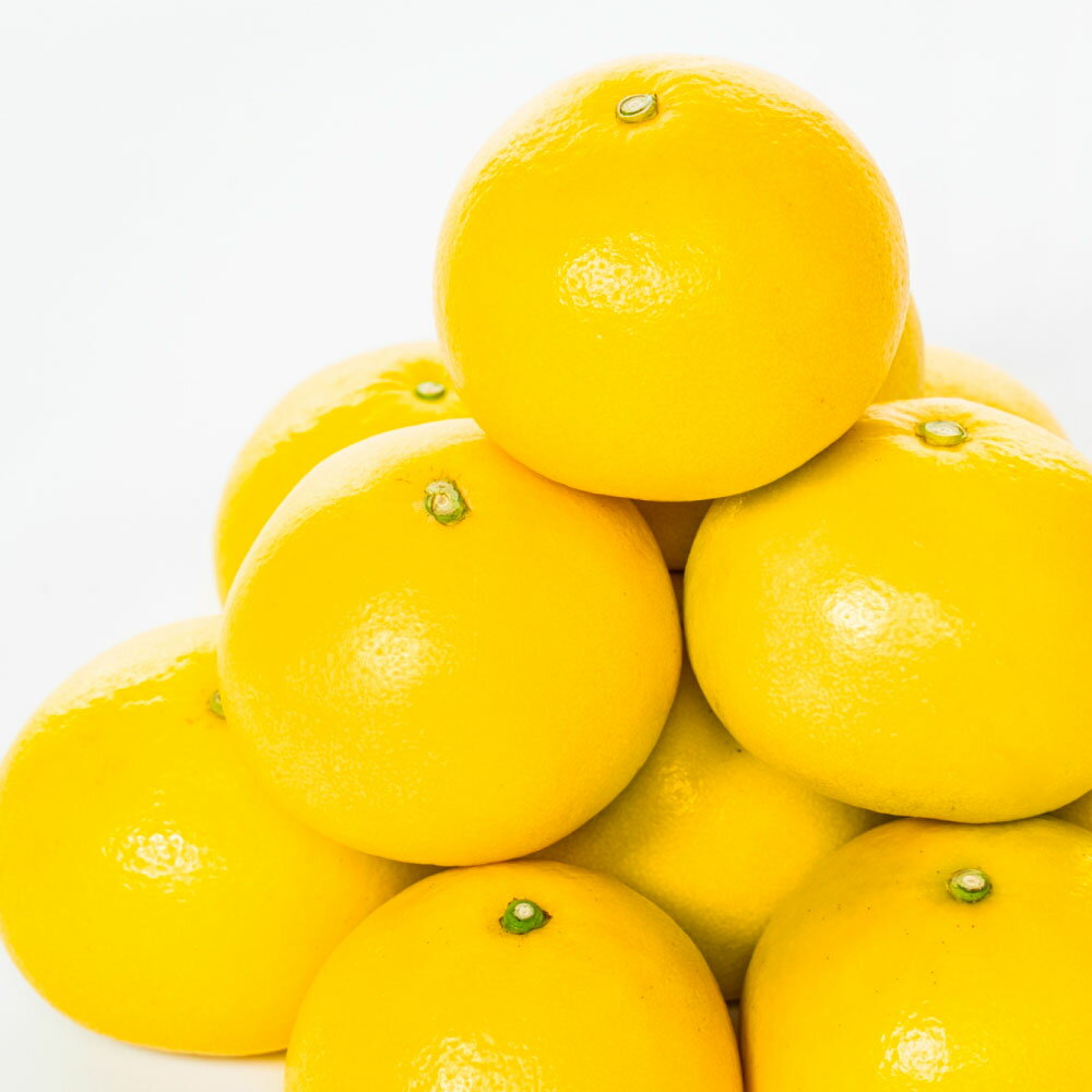 【ふるさと納税】文旦 贈答用 選べる内容量 3kg or 5kg ぶんたん ブンタン 温室土佐文旦 土佐文旦 柑橘 フルーツ 果物 くだもの みかん 3キロ 5キロ 贈答 ギフト 贈り物 土佐 高知 やの一果彩 ふるさとのうぜい 故郷納税 高知県 27000円～ 土佐市 サムネイル2