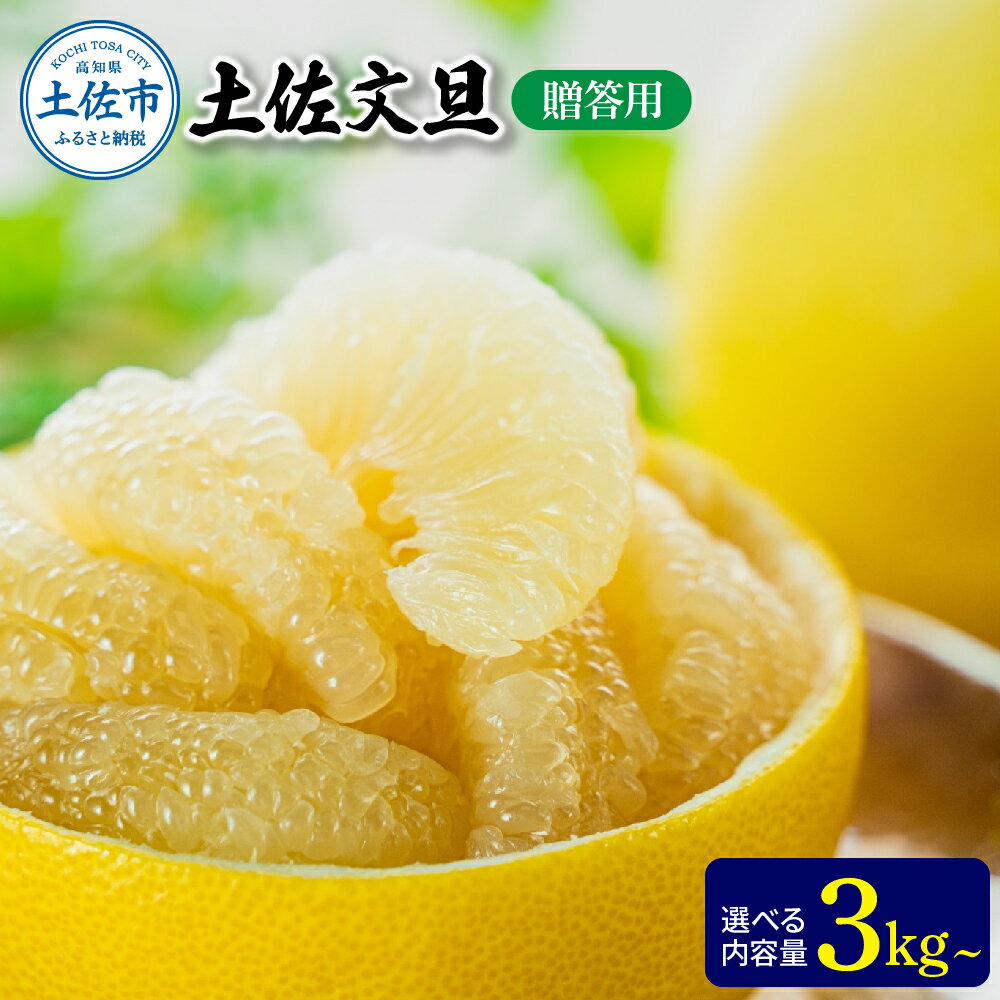 文旦 贈答用 選べる内容量 3kg or 5kg ぶんたん ブンタン 温室土佐文旦 土佐文旦 柑橘 フルーツ 果物 くだもの みかん 3キロ 5キロ 贈答 ギフト 贈り物 土佐 高知 やの一果彩 ふるさとのうぜい 故郷納税 高知県 27000円～ 土佐市