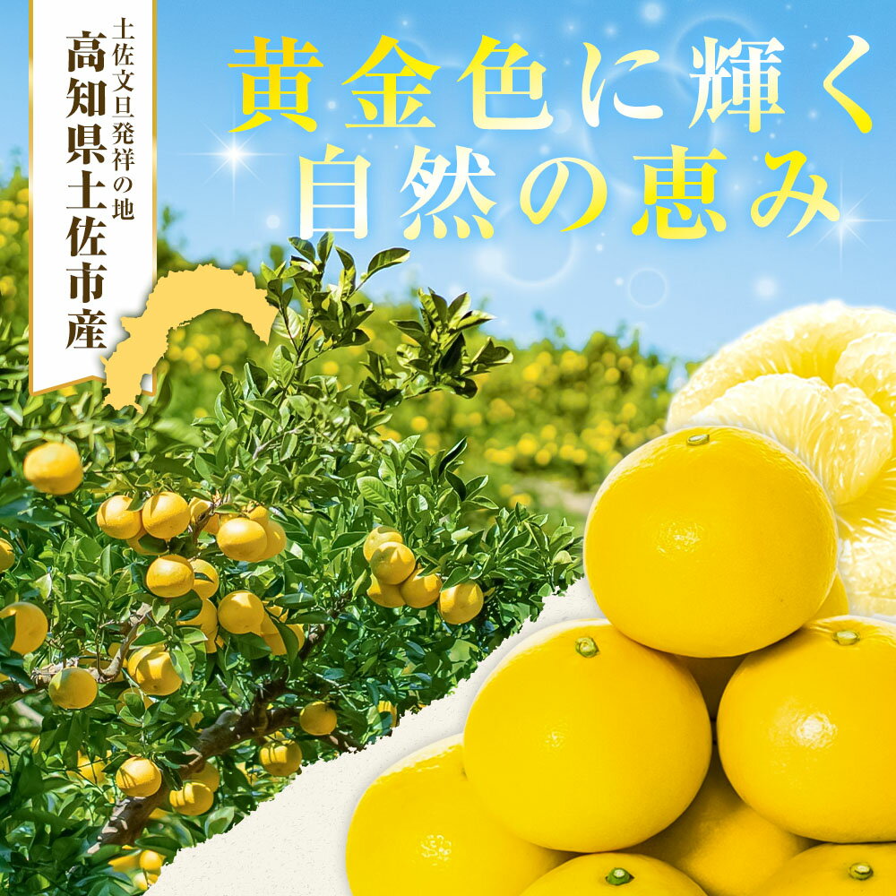 【ふるさと納税】先行予約 文旦 選べる 内容量 5kg～ 大小混合（4L～Mサイズ）ぶんたん ブンタン 日本ギフト大賞2024受賞 フルーツ 果物 柑橘 みかん 家庭用 美味しい お取り寄せ 贈答用 家庭用 土佐 高知 やの一果彩 ふるさと納税 旬 11000円～ 園主こだわりの土佐文旦 サムネイル2