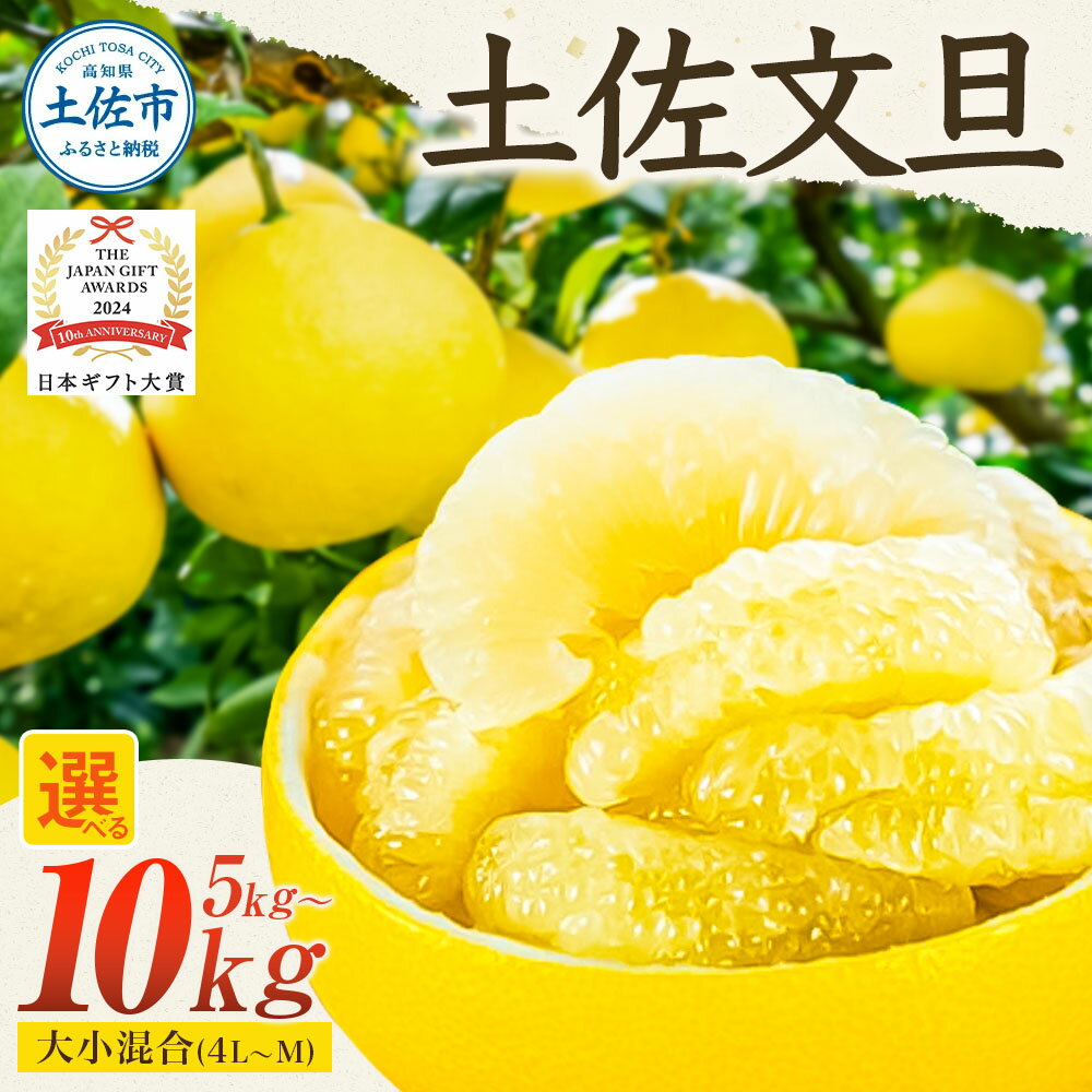 先行予約 文旦 選べる 内容量 5kg～ 大小混合（4L～Mサイズ）ぶんたん ブンタン 日本ギフト大賞2024受賞 フルーツ 果物 柑橘 みかん 家庭用 美味しい お取り寄せ 贈答用 家庭用 土佐 高知 やの一果彩 ふるさと納税 旬 11000円～ 園主こだわりの土佐文旦
