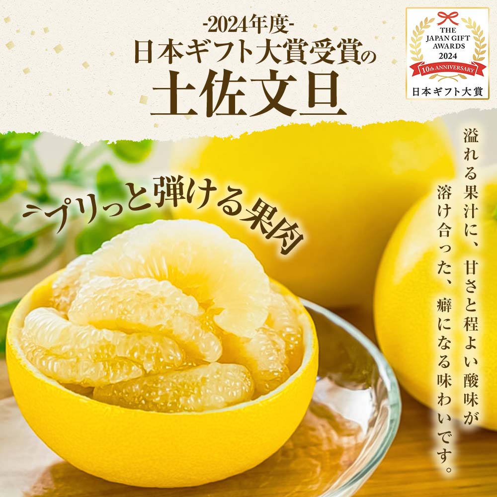 【ふるさと納税】【先行予約】文旦 選べる内容量 3kg 5kg 10kg 小玉（L～Mサイズ） 7000円 10000円以内 20000円以下 土佐文旦 ぶんたん 日本ギフト大賞 2024受賞 フルーツ ブンタン みかん 果物 くだもの 家庭用 美味しい 土佐 高知 やの一果彩 贈答用 家庭用 春 旬 土佐市 サムネイル3