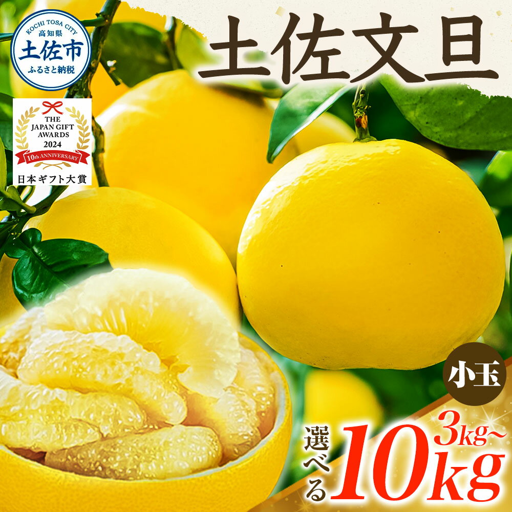 【先行予約】文旦 選べる内容量 3kg 5kg 10kg 小玉（L～Mサイズ） 7000円 10000円以内 20000円以下 土佐文旦 ぶんたん 日本ギフト大賞 2024受賞 フルーツ ブンタン みかん 果物 くだもの 家庭用 美味しい 土佐 高知 やの一果彩 贈答用 家庭用 春 旬 土佐市