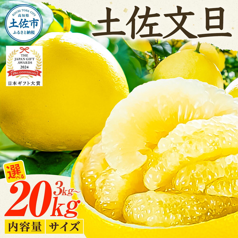 【先行予約】文旦 〈選べるサイズと内容量〉 3kg~20kg【2027年1月下旬より順次発送！】 小玉 大玉 大小混合 土佐文旦 ぶんたん 日本ギフト大賞 2024受賞 柑橘 フルーツ ブンタン みかん 果物 くだもの 美味しい 高知 やの一果彩【やの一果彩】[BQAC016]