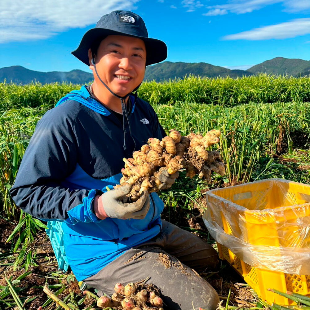 【ふるさと納税】健康長寿の秘訣 大地の土付き生姜4kg 国産 生ショウガ しょうが ショウガ ジンジャー ジンジャーエール ショウガシロップ 生姜焼き 薬味 野菜 料理 健康 生姜湯 新鮮 高知県 土佐市 返礼品 ランキンング 高知県 土佐市 こうち 返礼品 - 画像2
