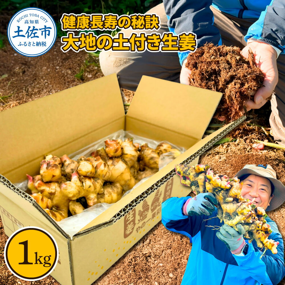 健康長寿の秘訣 大地の土付き生姜1kg 国産 生ショウガ しょうが ショウガ ジンジャー ジンジャーエール ショウガシロップ 生姜焼き 薬味 野菜 料理 健康 生姜湯 新鮮 高知県 土佐市 返礼品 ランキンング 高知県 土佐市 こうち 返礼品