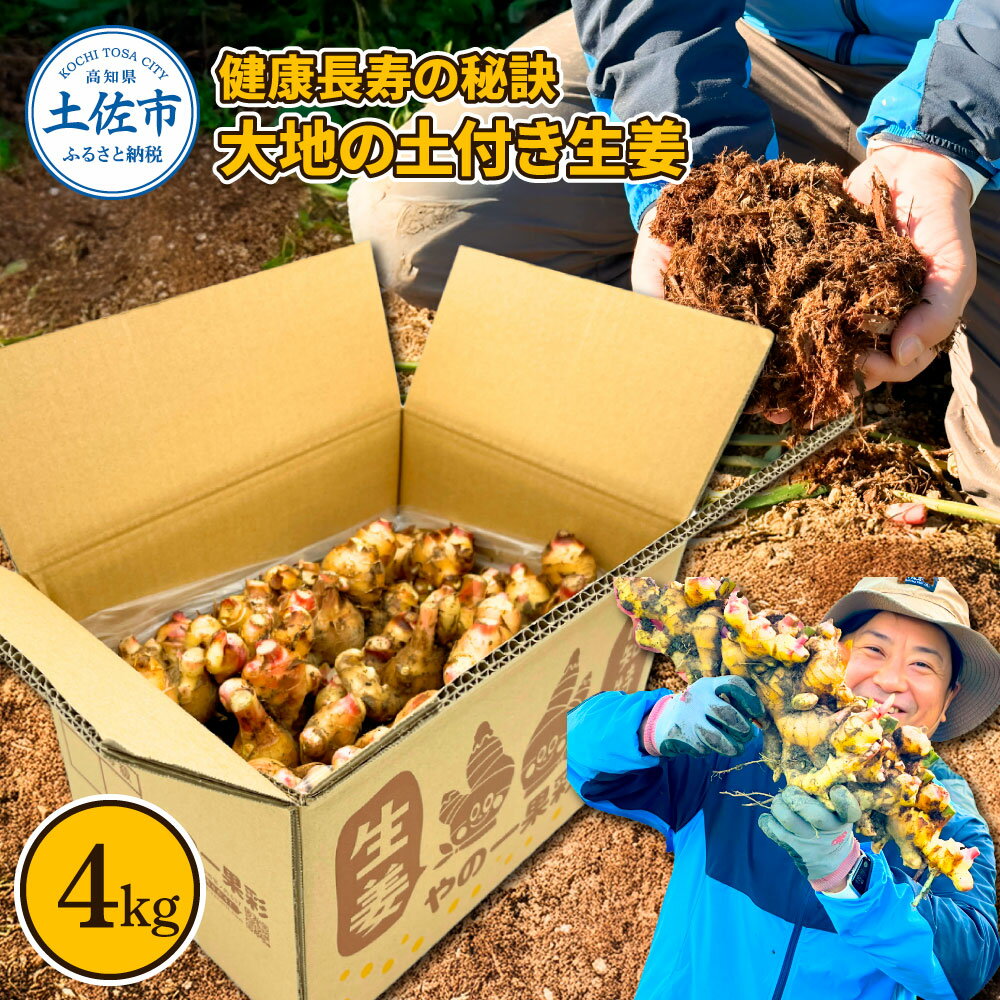 健康長寿の秘訣 大地の土付き生姜4kg 国産 生ショウガ しょうが ショウガ ジンジャー ジンジャーエール ショウガシロップ 生姜焼き 薬味 野菜 料理 健康 生姜湯 新鮮 高知県 土佐市 返礼品 ランキンング 高知県 土佐市 こうち 返礼品