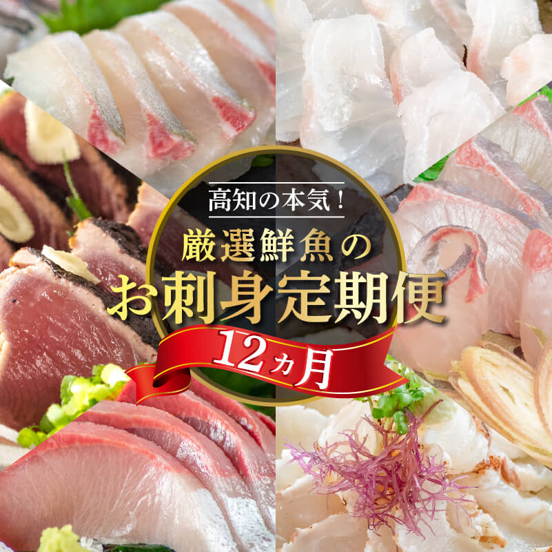 旬の お刺身 定期便 1年 12回 産地直送 お楽しみ定期便 新鮮 刺身 毎月 届く 旬 鮮魚 ブリ カンパチ シマアジ タイ カツオ の タタキ 魚 鰤 真鯛 鯛 勘八 縞鯵 鰹 藁焼き 大容量 たっぷり 簡単調理 贅沢 高知 高知県 須崎市 厳選 鮮魚 刺身 お刺身定期便