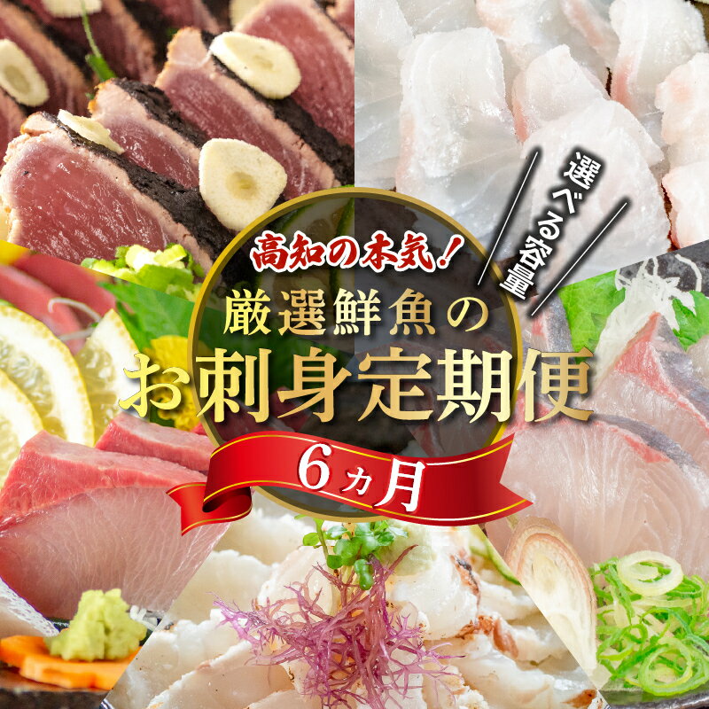 定期便 旬の お刺身 年 6回 新鮮 刺身 毎月 届く 半年 鮮魚 産地直送 真鯛 カンパチ ブリ 鰤 カツオ 鰹 シマアジ 縞鯵 高知県 須崎市 魚 海鮮 さしみ 6ヶ月 半年 チルド 冷蔵 国産 お造り 柵 切るだけ 盛り合わせ （クラウドファンディング対象）
