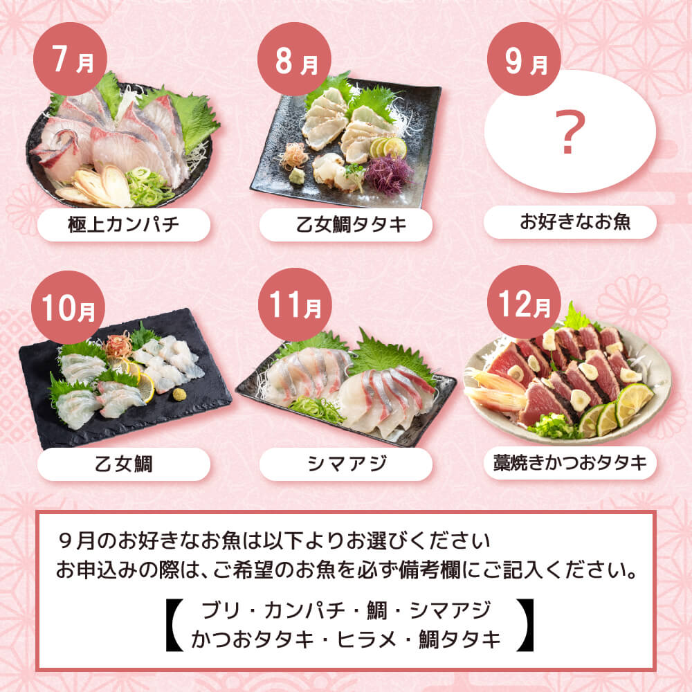 【ふるさと納税】 旬の お刺身 定期便 1年 12回 産地直送 お楽しみ定期便 新鮮 刺身 毎月 届く 旬 鮮魚 ブリ カンパチ シマアジ タイ カツオ の タタキ 魚 鰤 真鯛 鯛 勘八 縞鯵 鰹 藁焼き 大容量 たっぷり 簡単調理 贅沢 高知 高知県 須崎市 厳選 鮮魚 刺身 お刺身定期便 サムネイル3