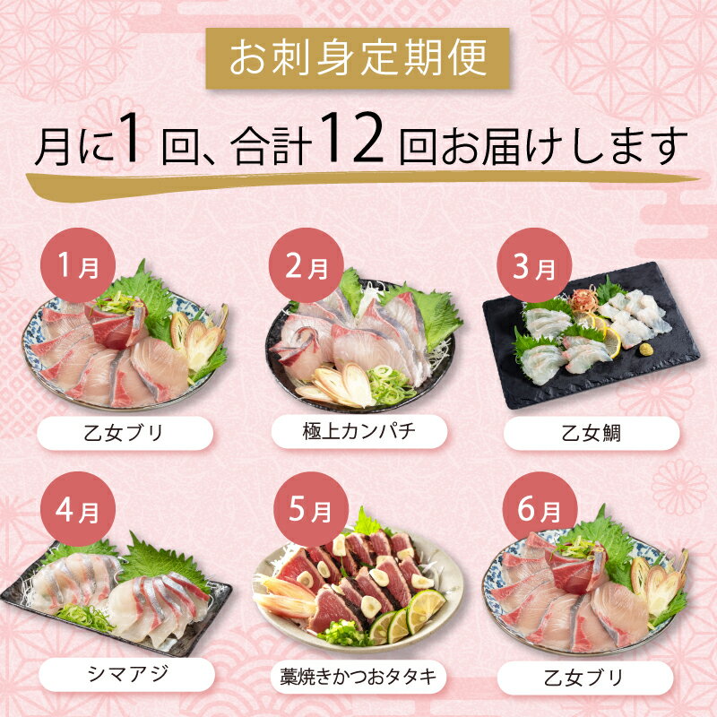 【ふるさと納税】 旬の お刺身 定期便 1年 12回 産地直送 お楽しみ定期便 新鮮 刺身 毎月 届く 旬 鮮魚 ブリ カンパチ シマアジ タイ カツオ の タタキ 魚 鰤 真鯛 鯛 勘八 縞鯵 鰹 藁焼き 大容量 たっぷり 簡単調理 贅沢 高知 高知県 須崎市 厳選 鮮魚 刺身 お刺身定期便 サムネイル2