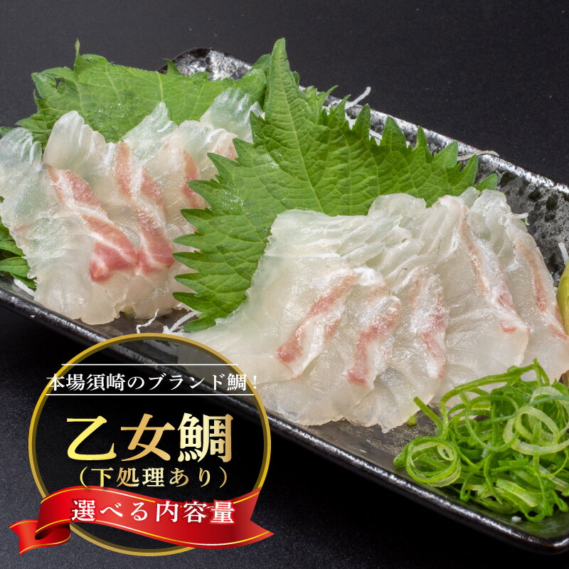 真鯛 フィーレ 刺身 用 アラ付き 1～2尾 セット 本場須崎のブランド鯛 乙女鯛 ( 新鮮 冷蔵 刺身 お刺し身 タイ 鯛 高級魚 鮮魚 海鮮 魚介 煮付け 鯛めし 鯛茶漬け 鯛しゃぶ アラ汁 皿 高知県 須崎市 ふるさと納税鯛 )