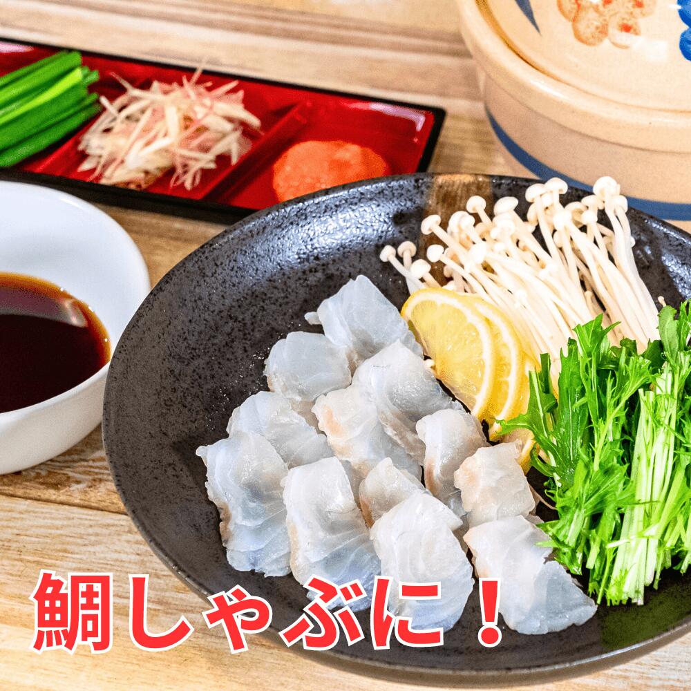 【ふるさと納税】 鯛 選べる 容量 まるごと 1尾 ～ 2尾 ( 900g～1kg 2.0kg～2.5kg ）下処理なし 産地直送 新鮮 高知県産 ブランド鯛 小島水産 乙女鯛 真鯛 鮮魚 魚 マダイ 刺身 鯛めし 鯛しゃぶ 鯛茶漬け 煮付け アラ汁 味噌汁 高知県 須崎市 祝 中元 歳暮 正月 ギフト サムネイル3