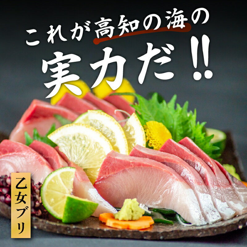 【ふるさと納税】 乙女 ブリ 刺身 用 700g ～ 1000g 神経締め 冷蔵 新鮮 ブランド 鰤 ぶり しゃぶ 切り身 乙女ブリ 高知県須崎市 須崎市 鰤 年末 正月（下処理有）乙女鰤 高知 サムネイル2