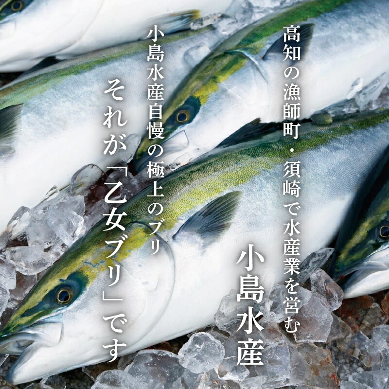 【ふるさと納税】 乙女 ブリ 刺身 用 700g ～ 1000g 神経締め 冷蔵 新鮮 ブランド 鰤 ぶり しゃぶ 切り身 乙女ブリ 高知県須崎市 須崎市 鰤 年末 正月（下処理有）乙女鰤 高知 サムネイル3
