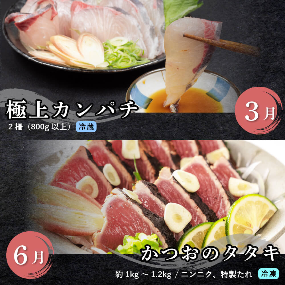 【ふるさと納税】 旬の お刺身 定期便 年 4回 新鮮 刺身 毎月 届く 鮮魚 産地直送 真鯛 カンパチ ブリ 鰤 カツオ 鰹 たたき 高知県 須崎市 海鮮 さしみ 刺し身 4ヶ月 高級魚 半年 チルド冷蔵 国産 お造り 柵 切るだけ盛り合わせ サムネイル3