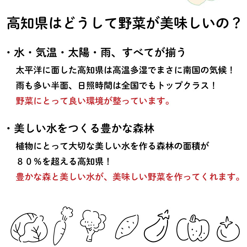 【ふるさと納税】 定期便 年 6回 野菜 旬 セット お楽しみ 約 8品目 やさい セット 旬 新鮮 農家 直送 詰め合わせ 国産 野菜便 季節 フレッシュ 果物 フルーツ 大根 白菜 ME3000人気 ランキング 食品 お楽しみ バラエティ おすすめ 6ヶ月 ふるさと納税野菜定期便 ME3000_x - 画像3